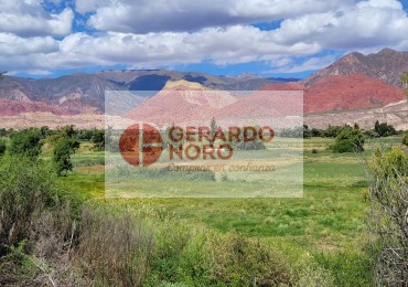 VENDO FINCA CHUCALEZMA - DEPTO HUMAHUACA